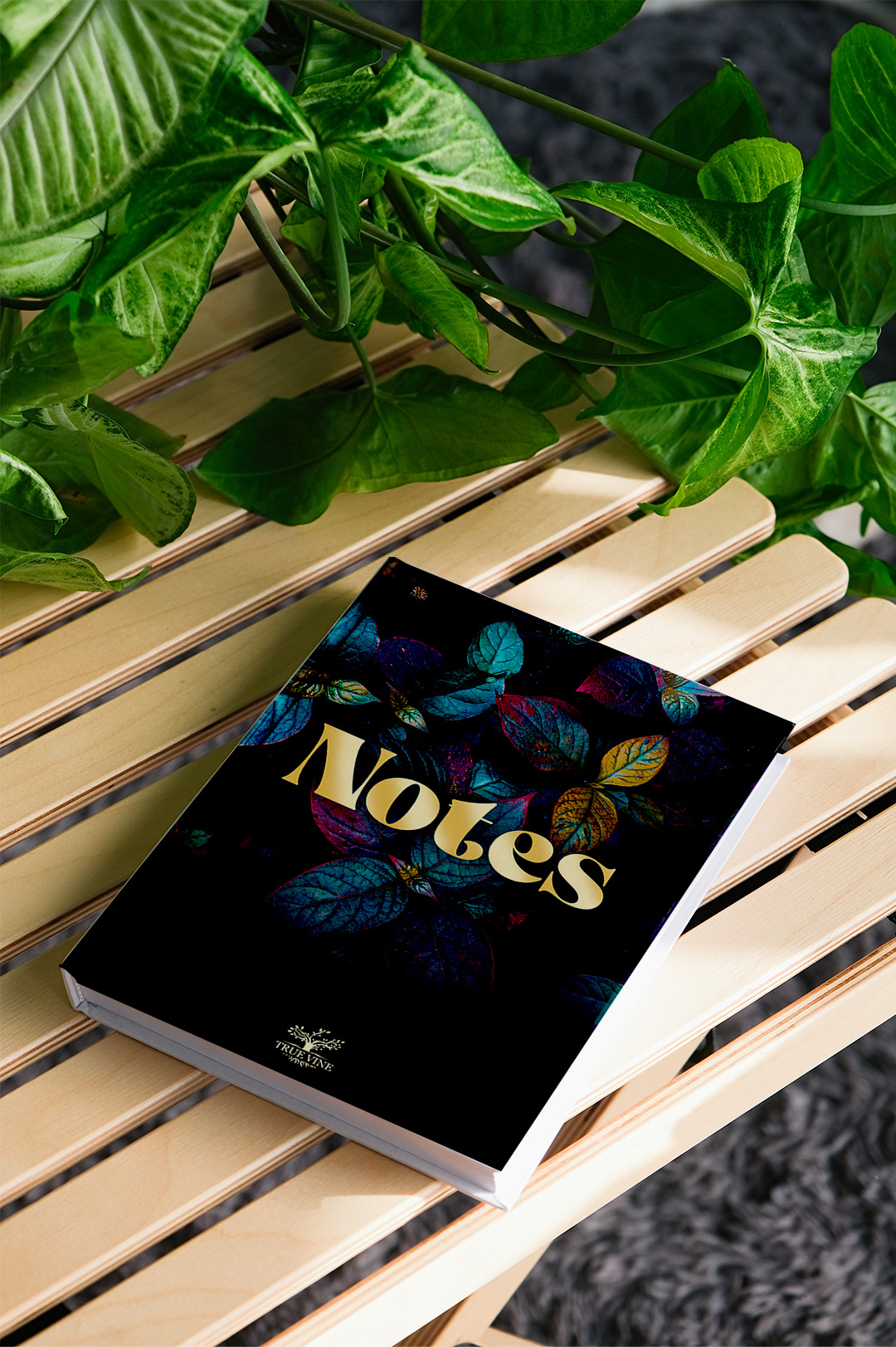 SAISONS – Image 2