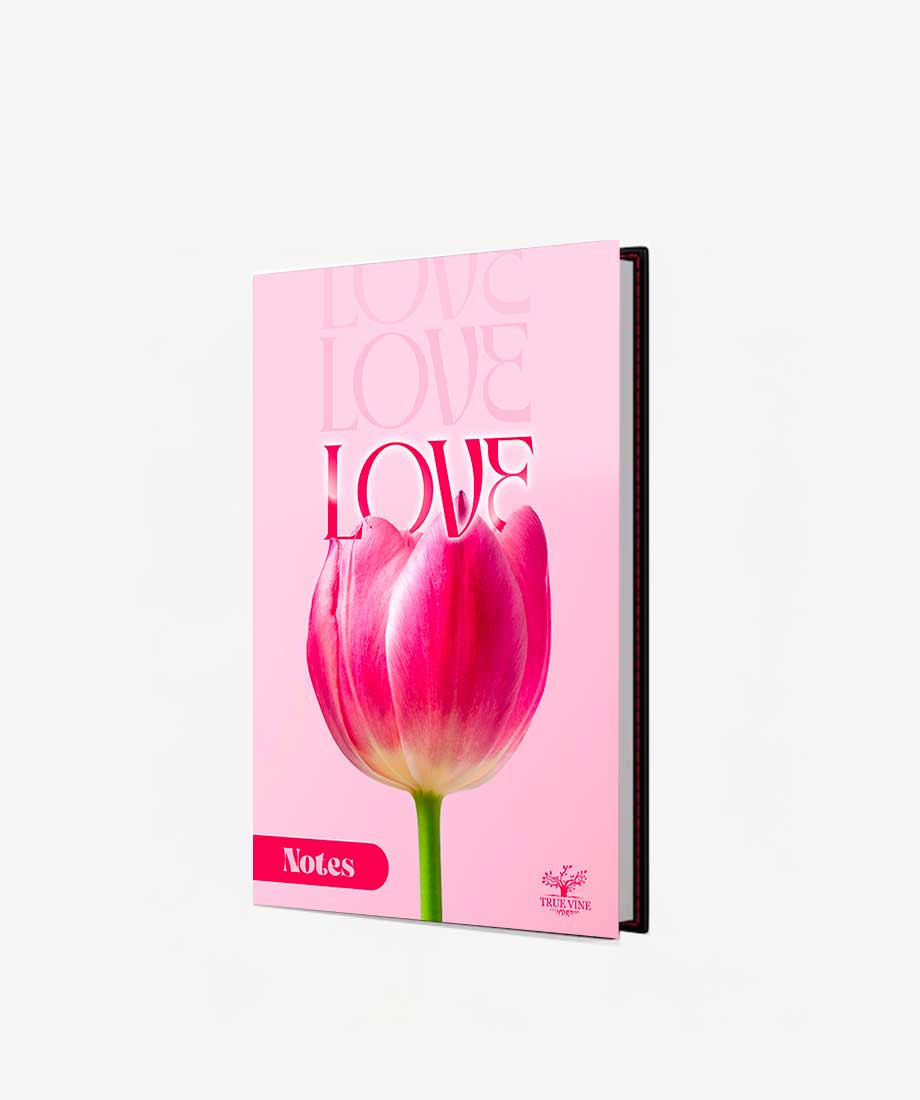 NOTES D’AMOUR – Image 3